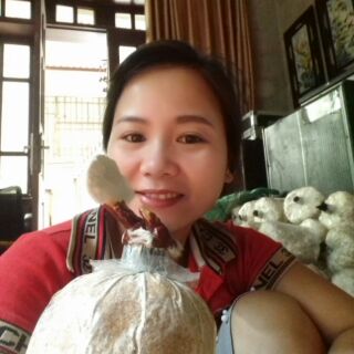phôi nấm linh chi
