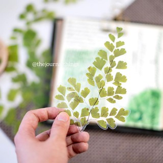 Sticker Ép Lá Trang Trí Sổ Tay