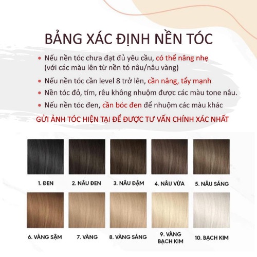 Thuốc Nâng Tone, Nâng Nền Tóc Giúp Nhuộm Chuẩn Các Màu Nền Sáng Tặng Kèm Oxy Và Găng Tay