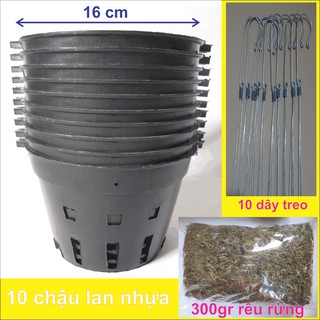 Combo 10 chậu lan nhựa màu đen + 10 dây treo + 300gr rêu rừng