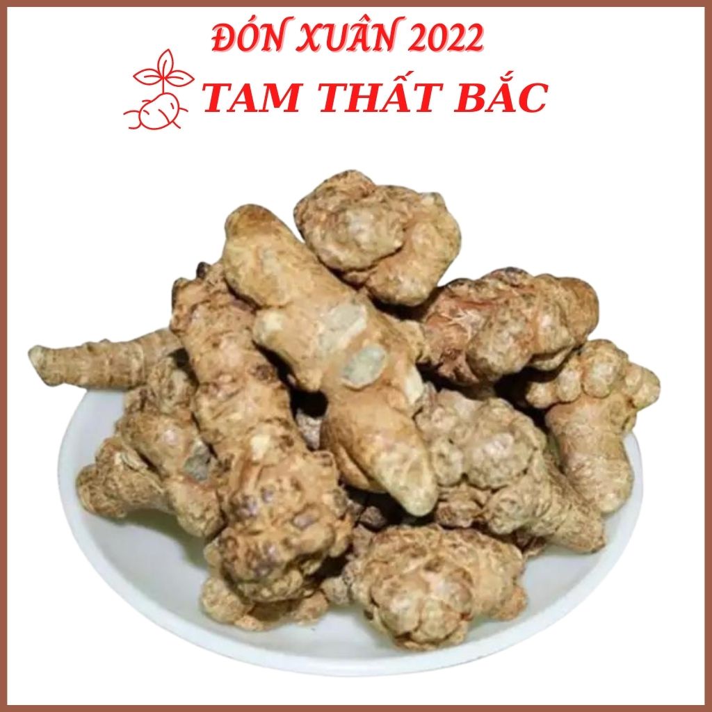Củ Tam Thất Bắc khô Lào Cai