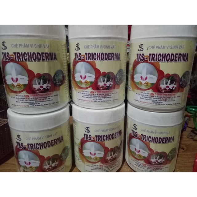 Nấm đối kháng trichoderma