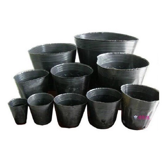 Bầu ươm cây , chậu ươm cây nhiều kích thước hàng loại 1 đẹp