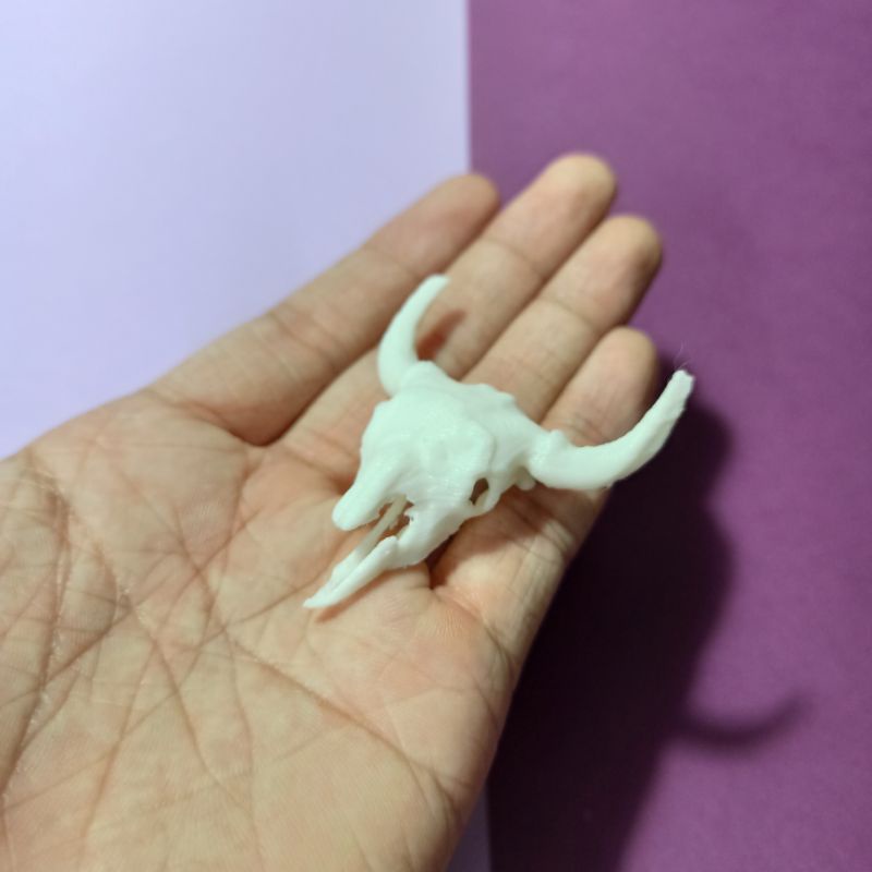Mô hình xương sọ bò tót, decor mini, custom figure tỉ lệ 1:12