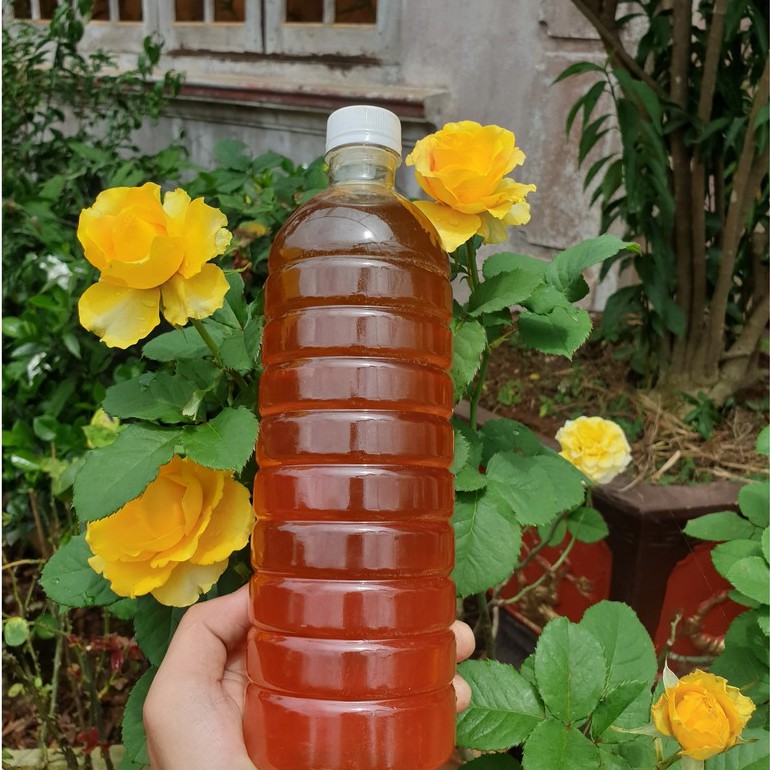 1 Lít Mật ong tự nhiên nguyên chất hoa cà phê chuẩn Đăk Lăk