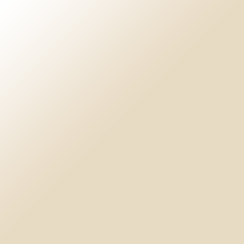 Honda LEAD 110cc  - Trọn bộ vỏ nhựa màu cho xe máy gồm 10 chi tiết nhựa sơn