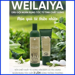 Cặp dầu gội gừng hà thủ ô weilaiya 400ml và dầu xả gừng hà thủ ô 250ml kích mọc tóc weilaiya