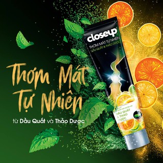 Kem đánh răng Closeup dâu quất & thảo dược 230g