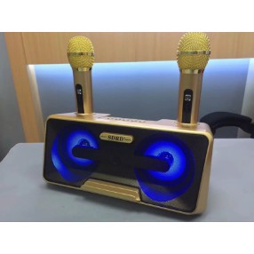 Loa karaoke di động, Loa nhật công suất lớn, Loa Karaoke Bluetooth SDRD 301, kèm 2 mic không dây, Âm Thanh Nổi Stereo 3D