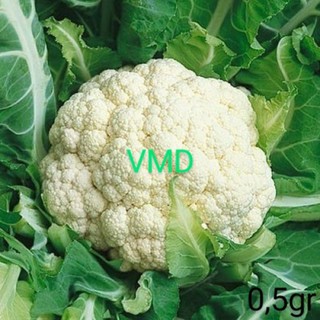 Hạt giống Bông Cải Trắng