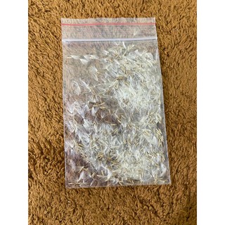 Hạt giống bồ công anh giống lùn của Nga