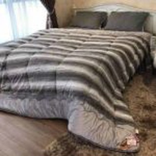 Chăn Cừu úc xuất khẩu Siêu dầy siêu ấm
