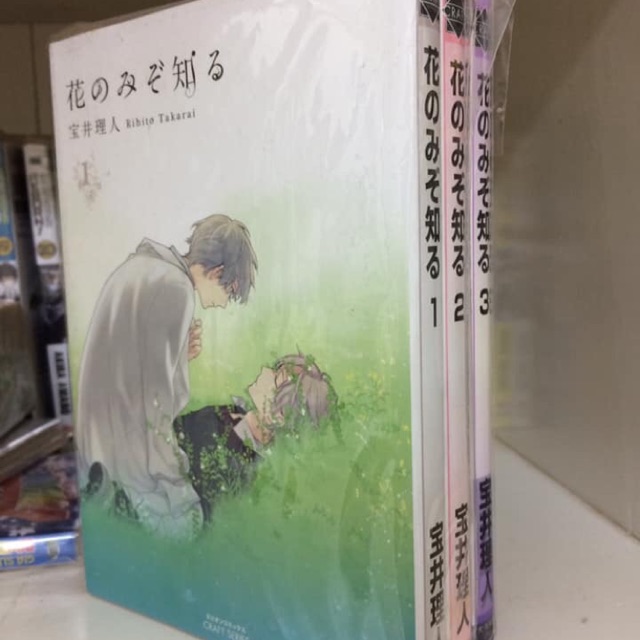 (Yaoi) Only the flower knows