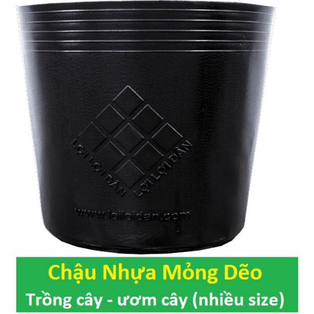 Combo 10 Chậu Nhựa Dẽo Dai Trồng Cây, Ươm Cây - Sử dụng Nhiều năm (size Lớn)