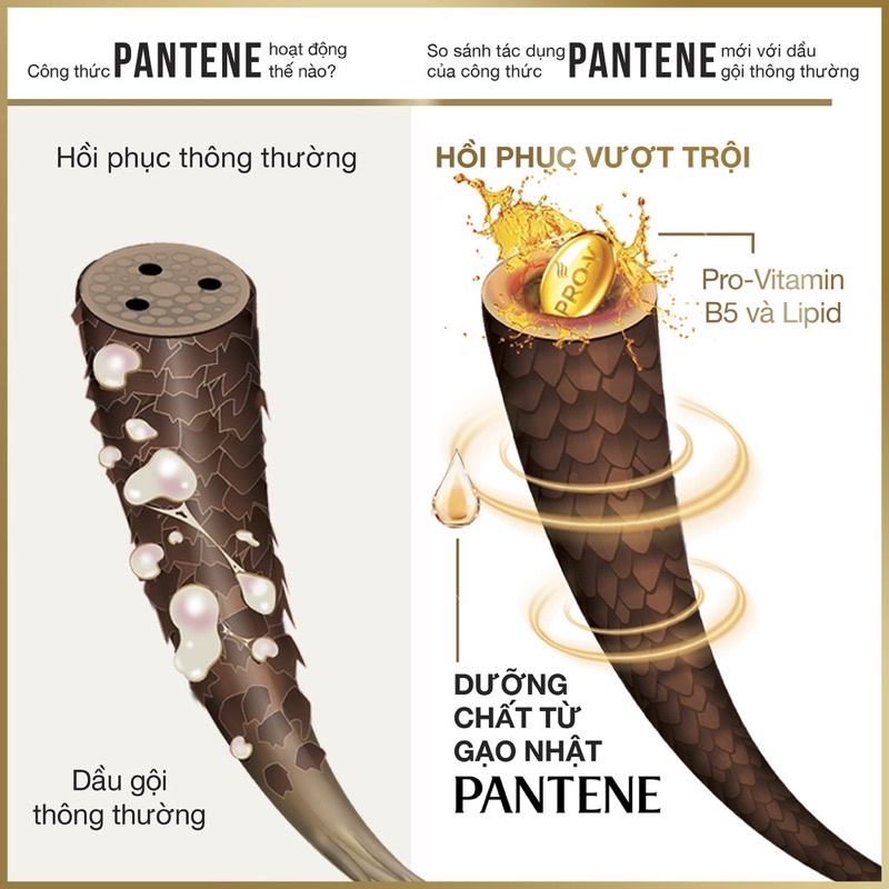 Dầu gội pantene 650ml ngăn rụng tóc phục hồi tóc hư tổn
