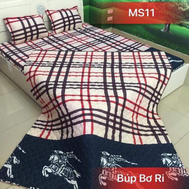 Bộ ga cotton poly 1m6x2m