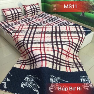 Bộ ga cotton poly 1m6x2m