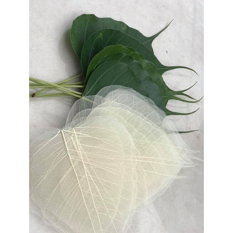 Lá Bồ Đề Mẹ Quan Âm và Thư Pháp