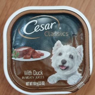 CESAR Pate cho chó COMBO 3 HỌP 3 vị