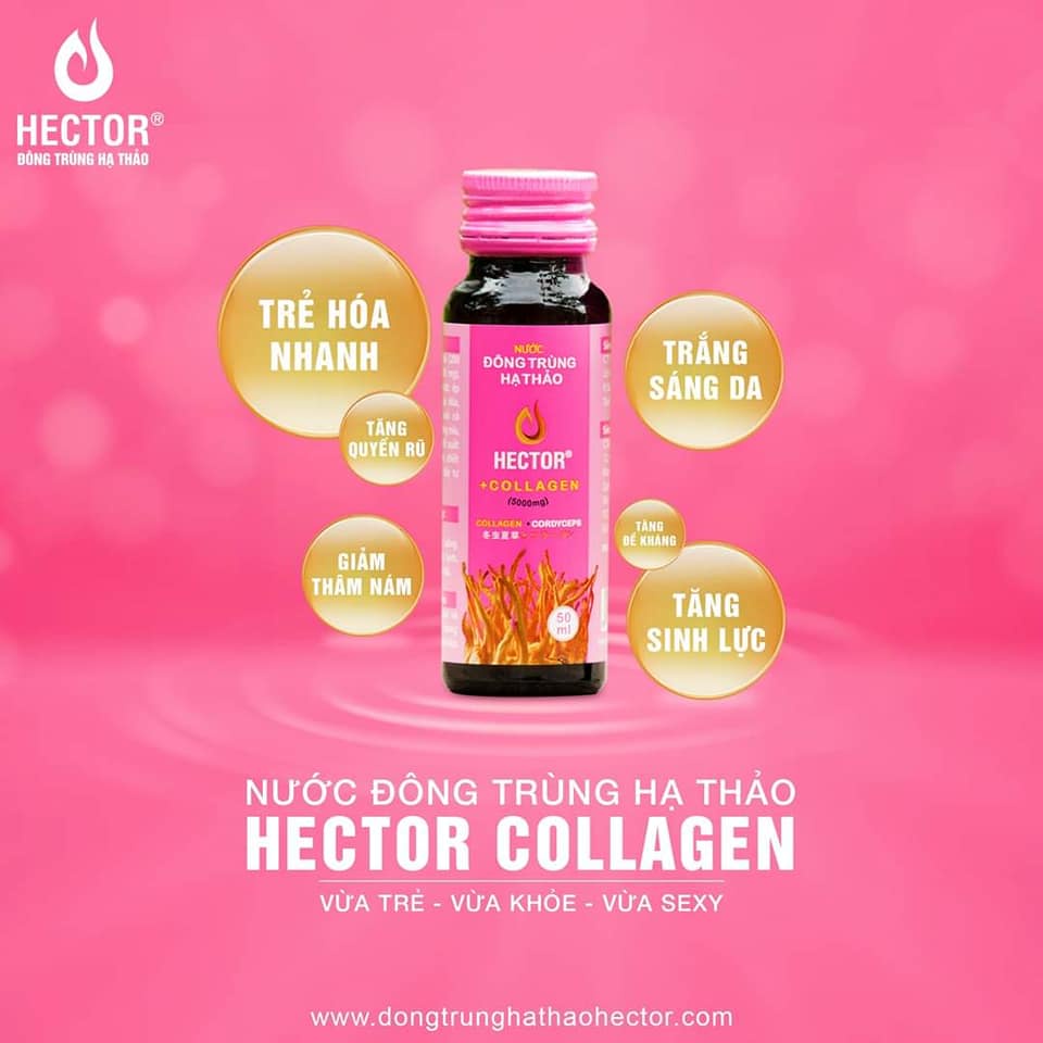 (CHÍNH HÃNG) Nước Đông Trùng Hạ Thảo Hector Collagen Cordyceps Collagen, sáng da, mờ nám, hộp 10 chai x 50ml