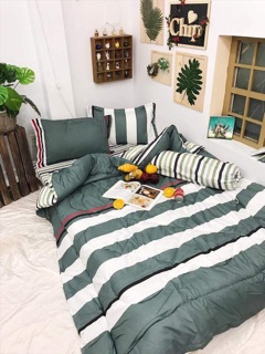 set phao poly nhập