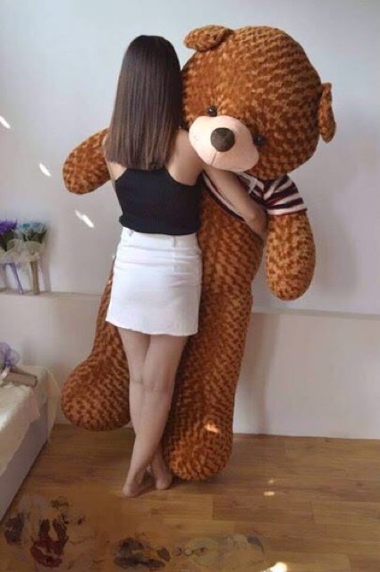 Gấu teddy 1m6 (kèm ảnh thật)