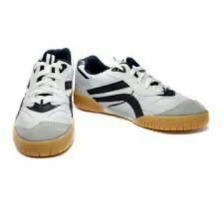 Giày Asia đế kép, giày cầu lông, giày chạy bộ