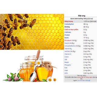 [FREESHIP 99K TOÀN QUỐC] sỉ 5 lít mật ong nguyên chất T BEE