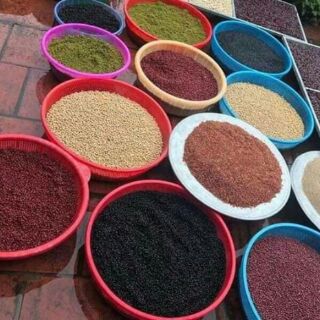 Bột ngũ cốc Cô Thu