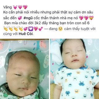 Combo 2 túi lợi sữa