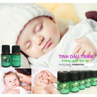 Tinh dầu tràm gió đặc biệt