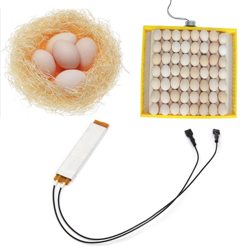Lồng Ấp Trứng Gà Vịt Chịu Nhiệt Độ Không Đổi
