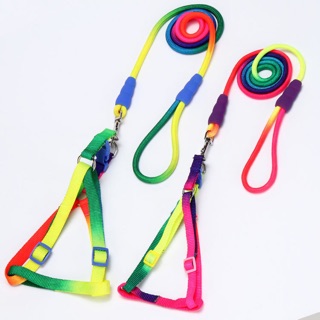 DÂY YẾM 7 MÀU CHO CHÓ MÈO 0.6 x 120cm