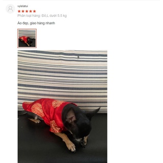 ÁO DÀI TẾT DÀNH CHO CHÓ MÈO