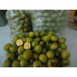 Hồng giòn ĐÀ LẠT