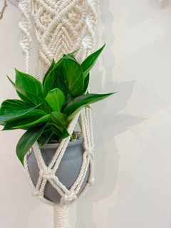 Dây treo chậu cây đan macrame màu trắng kem - Treo tường, trang trí nhà cửa