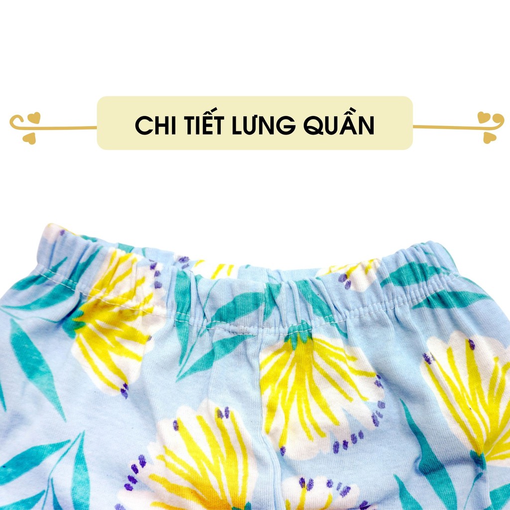 Set 10 quần bozip thun cotton – Quần đùi chục cho ngẫu nhiên bé trai bé gái (Mẫu)