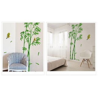 Decal Dán Tường Khóm Trúc