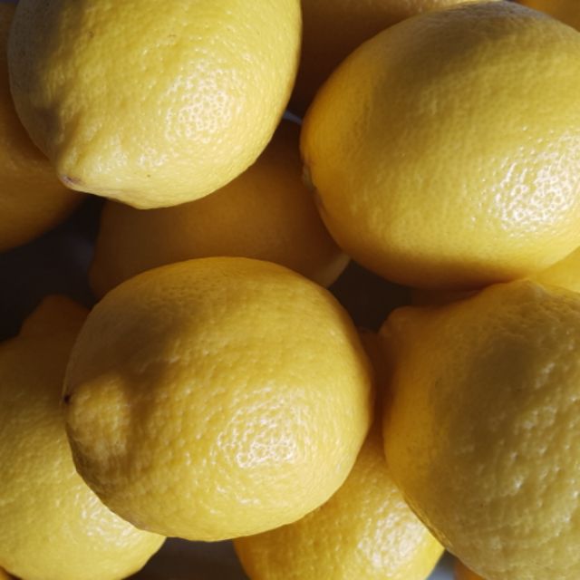 Chanh vàng Úc lemon
