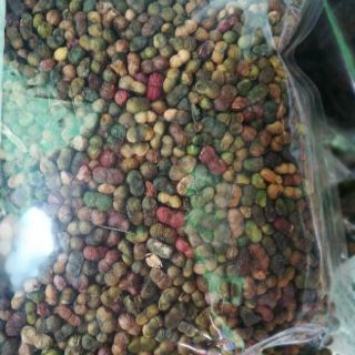 Quả Tam Thất (500g-1kg)