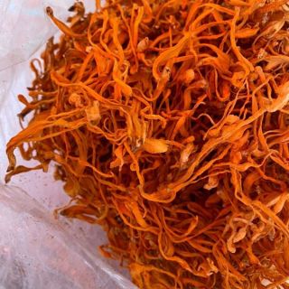 Sỉ toàn quốc đông trùng hạ thảo 500g - 1kg