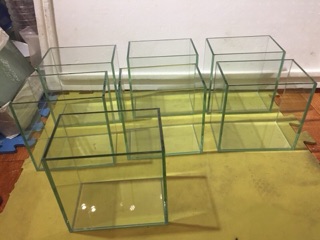 Bể cá Betta mini kích thước DRC 15-10-15 cm