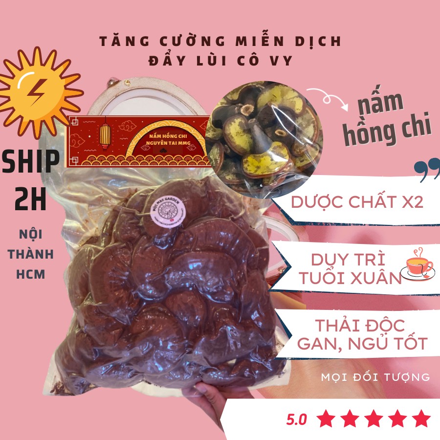 (500gr) Nấm Hồng Chi MMG Còn nguyên bào tử thượng hạng dạng túi