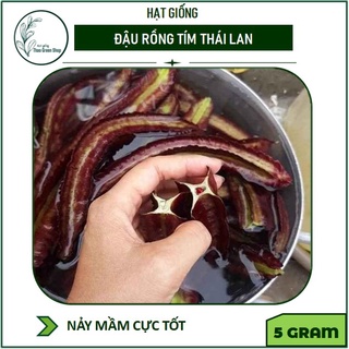 HẠT GIỐNG ĐẬU RỒNG TÍM THÁI LAN