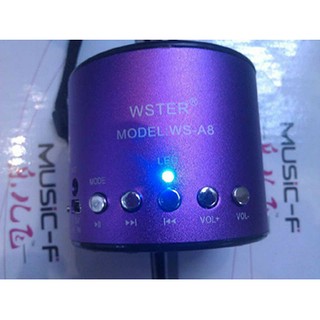 Loa WSTER WS A8