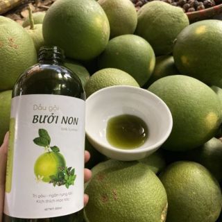 Cặp dầu gội bưởi non+ xả nha đam, dưa thảo dược nhà làm