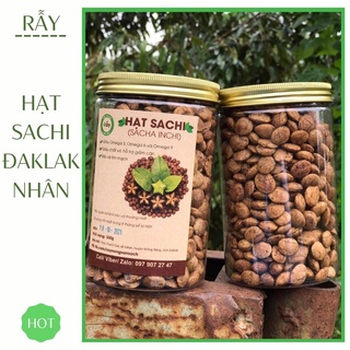 [500gram] Hạt Sachi Nhân Đaklak cao cấp, hạt dinh dưỡng nhà làm sấy khô đã tách vỏ