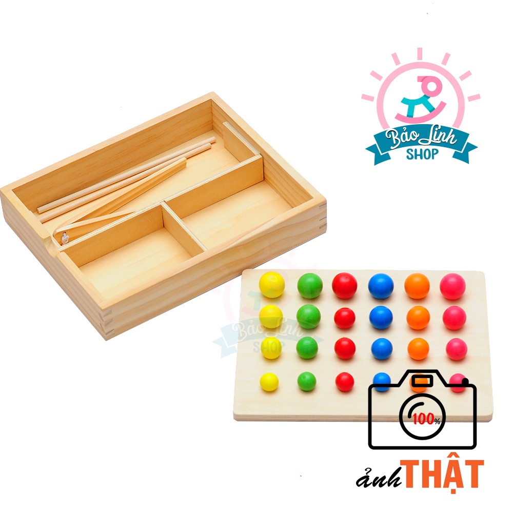 Giáo cụ Montessori 0-3 - Gắp bi gỗ cho bé tập gắp, phân loại màu sắc, to nhỏ