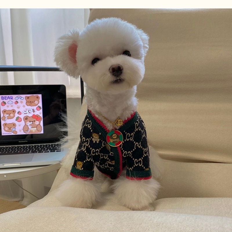 ÁO LEN DỆT GUCCl cho chó mèo