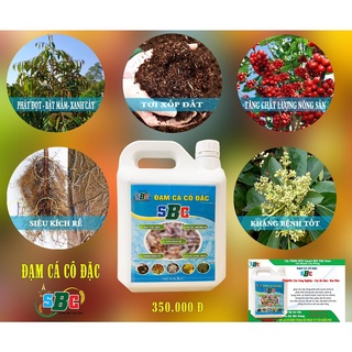 Dịch đạm cá cô đặc sbc 5 lít - dịch đạm cá nước ngọt